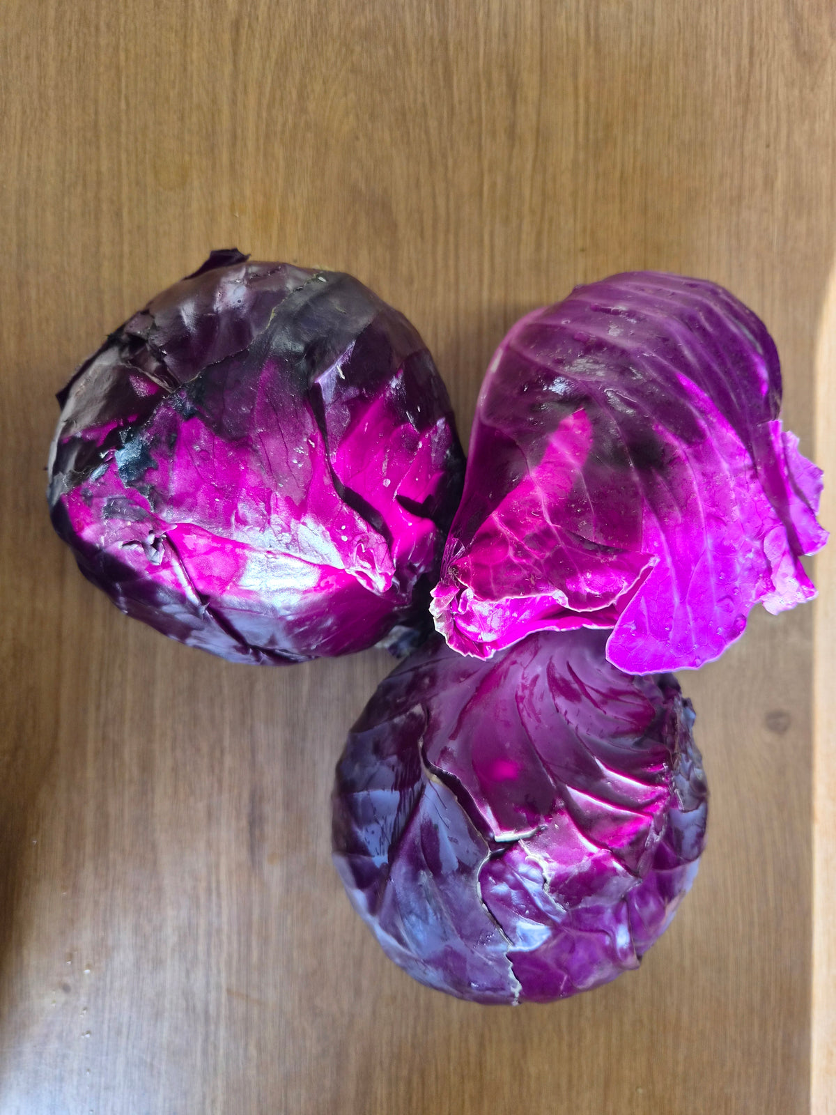 Red Cabbage