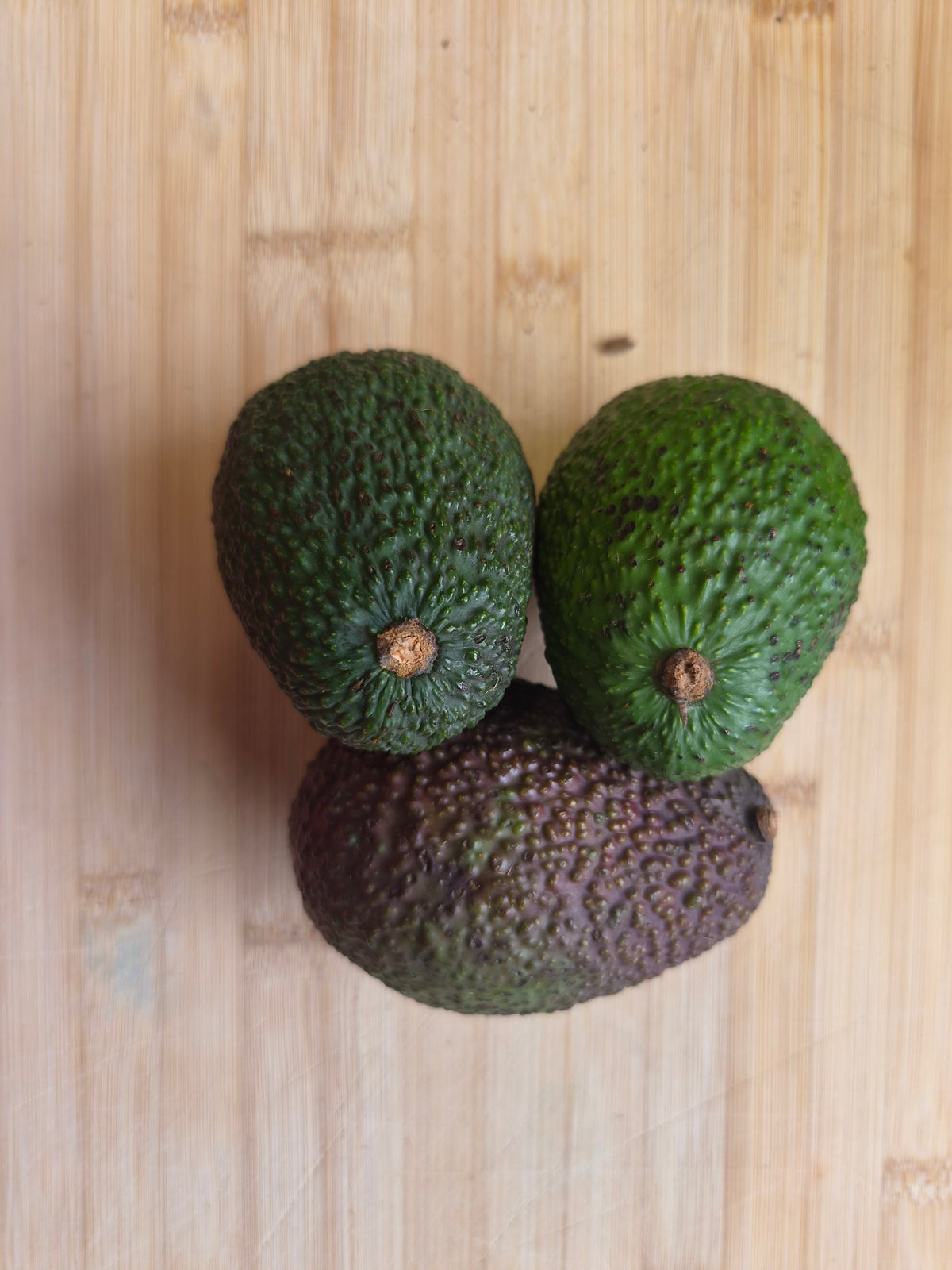 Avocado