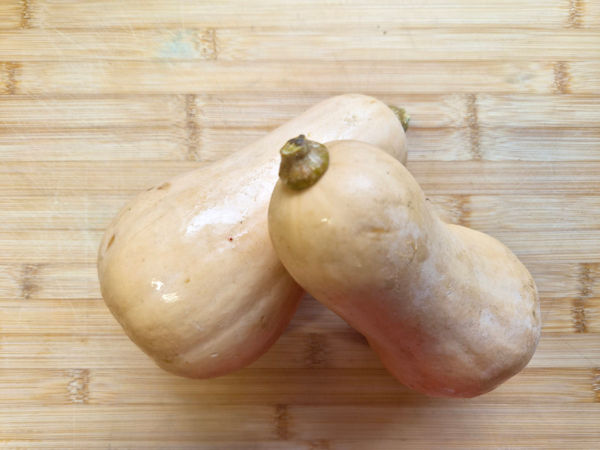 Butternut Squash