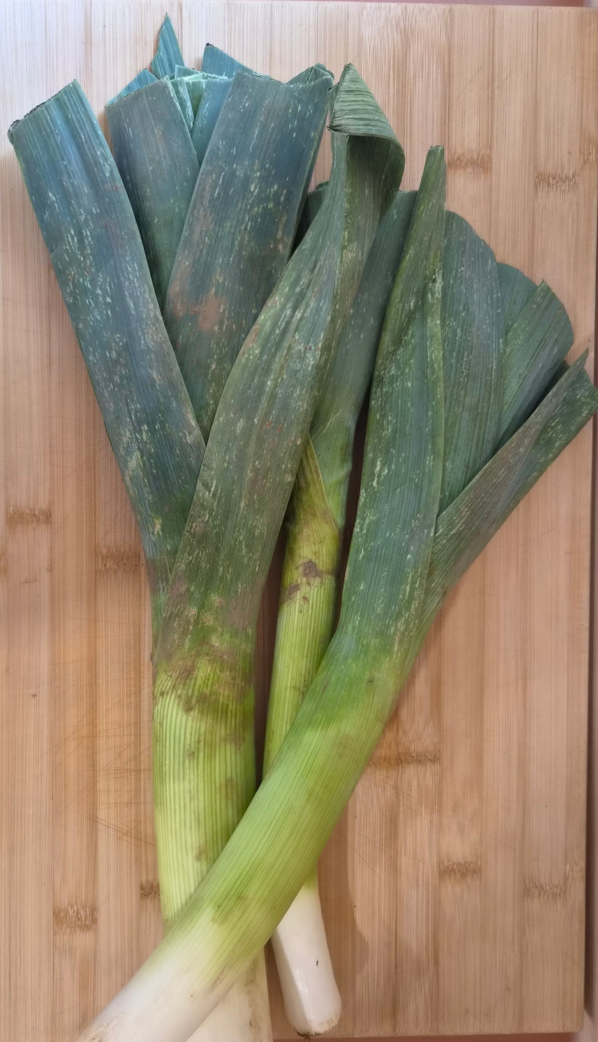 Leeks