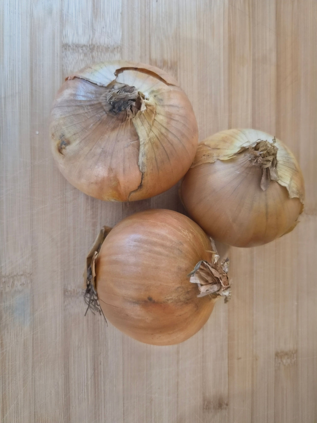 Yellow Onions